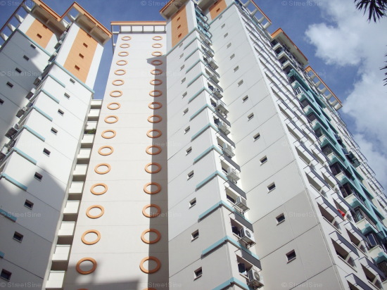 Blk 287D Jurong East Street 21 (Jurong East), HDB Executive #165732